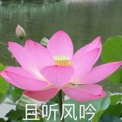 星空体育app下载官网截图